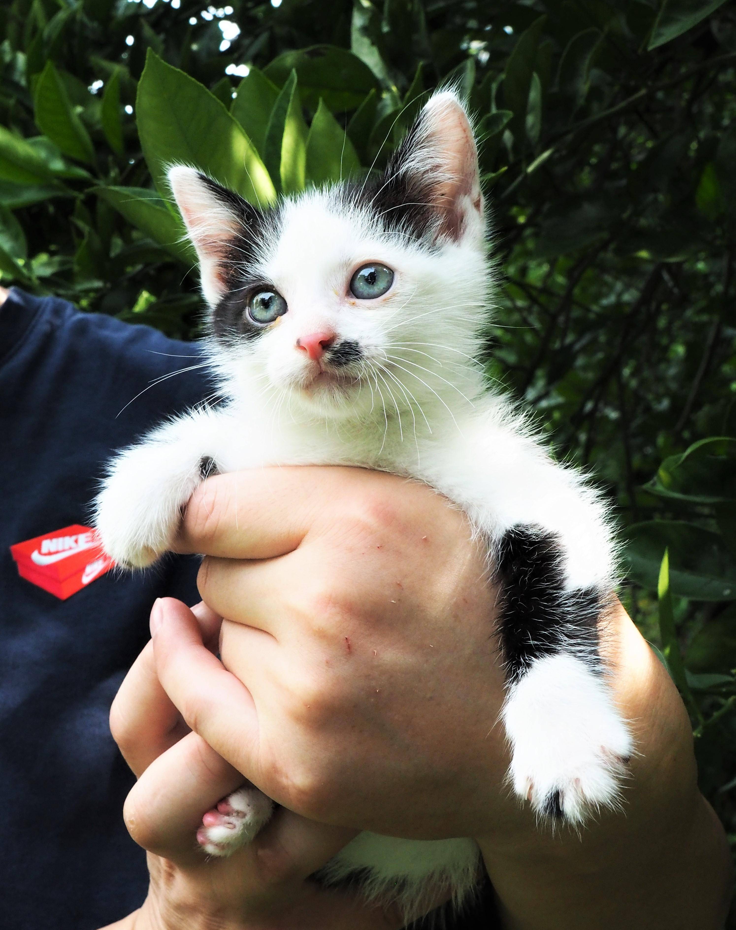 IntoImmortality-������Ⱥ����˸ʱ��