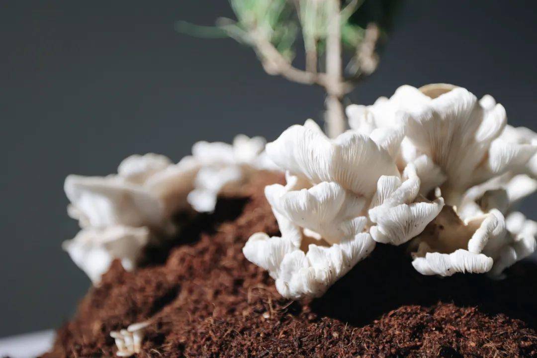 �����죺�����˶Ծ��ӵ����������Ӧ���á��ж���������