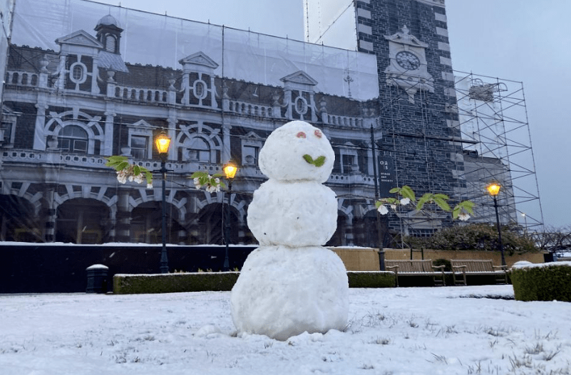 刷屏：新西兰一夜返冬，有人上街滑雪！