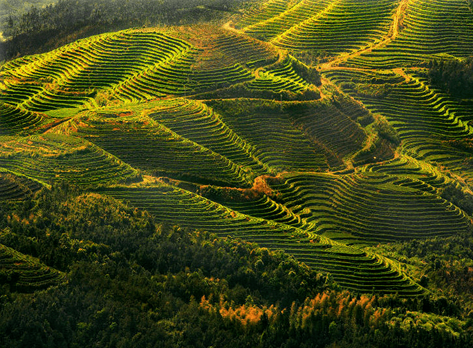 100λŵ������ѧ���޽���100����������