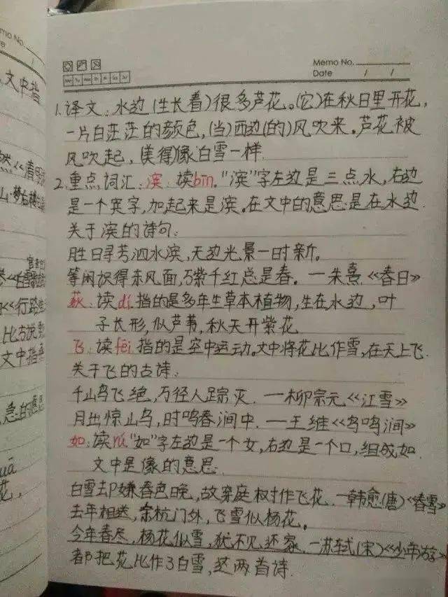 【小学生必读小古文100篇】第四篇：《荷》