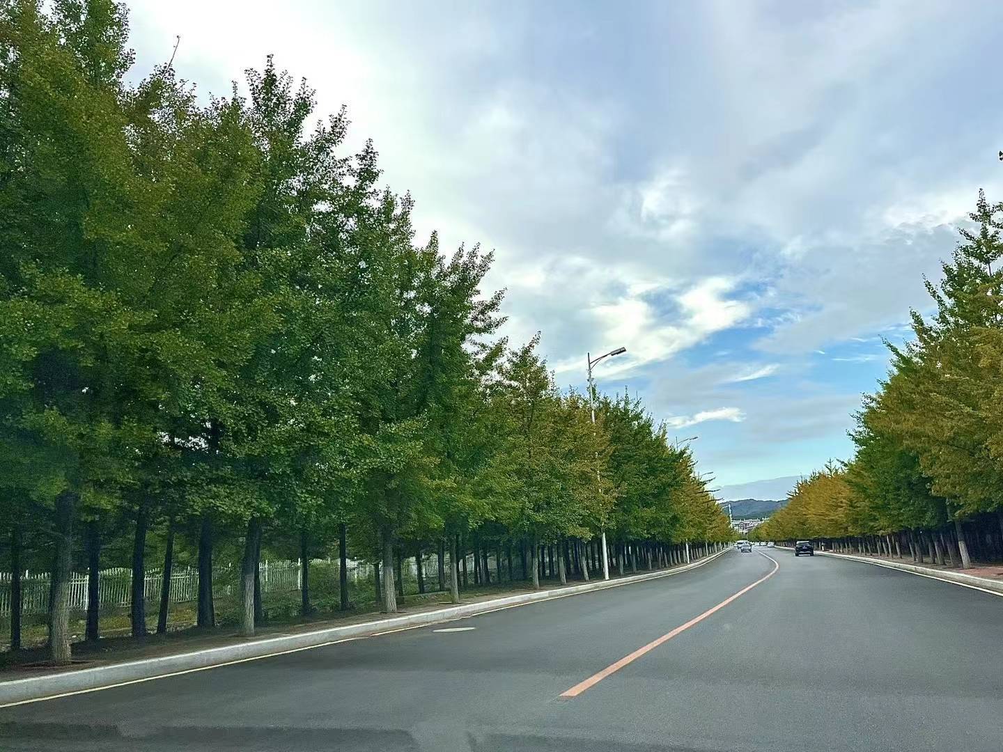 上海三代试管费用（原创
            明天10月11号-11月30号，财神爷独宠，运气好到爆，赚大钱的生肖）