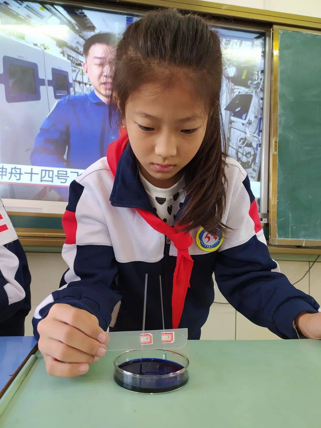 中小学部的学子们在老师们的带领下用主题班会,手抄报,观后感,实验记