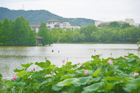 浙江农林大学环境怎么样？花木天堂，绿野仙境！