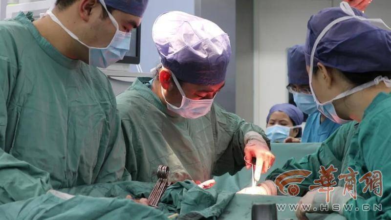 试管供卵会不会排异（30岁女子只有半个子宫 成功娩出健康龙凤胎）