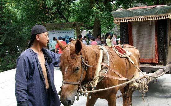 马夫手记 搜狐网