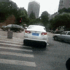 原创
爆笑推荐:手有点哆嗦了,没拍好