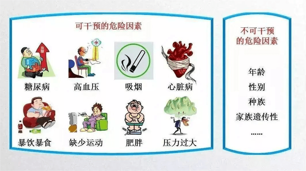 脑卒中(俗称"中风,是一种急性脑血管病,是由于脑部血管突然破裂或