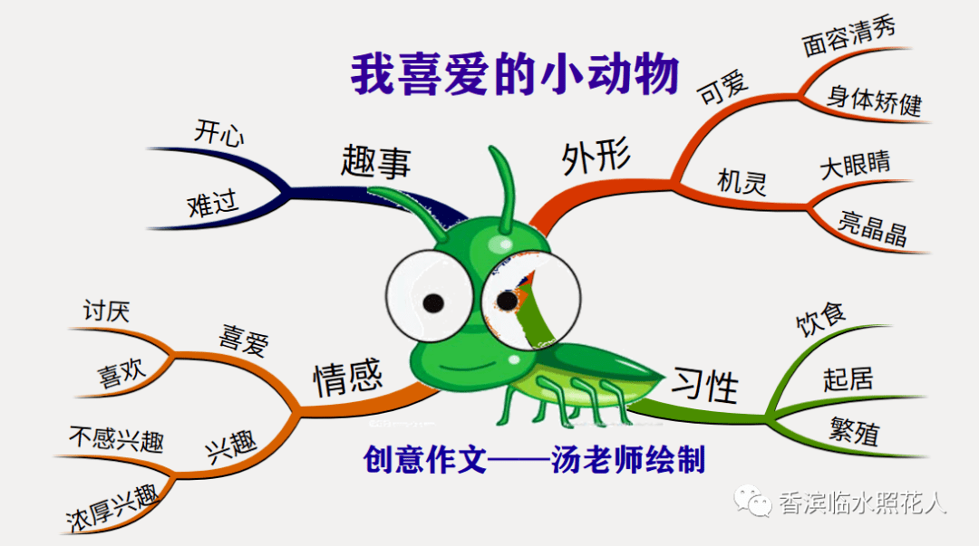 【思维导图“画”作文——五年级“我的心爱之物”】谭奥《白鹭》（二十）  五年级作文 第3张