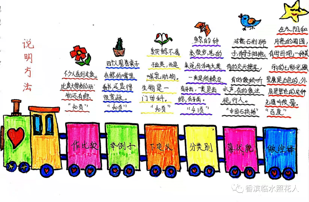 【思维导图“画”作文——五年级“我的心爱之物”】谭奥《白鹭》（二十）  五年级作文 第14张