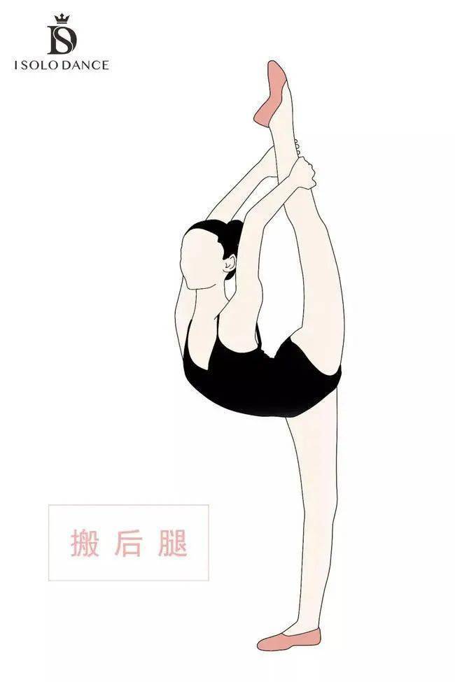 舞蹈初学者适用丨一份超详细的舞蹈基本功训练示范图(建议收藏)