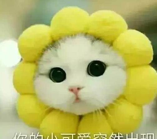 原创
开心一刻:老妹给我介绍了男朋友,说各方面都好,唯一就是有点小