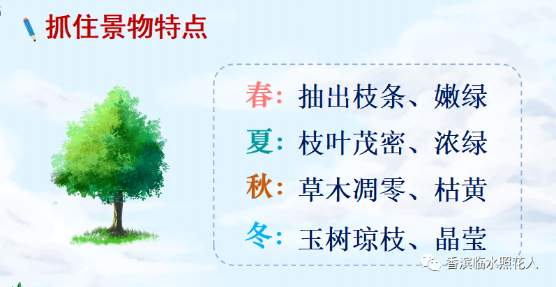 【思维导图画作文——这儿真美】三年级邸妙涵《海南岛真美》（十六）  三年级作文 第1张