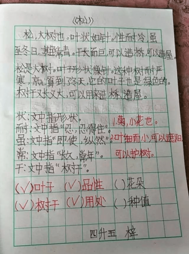 【小学生必读小古文100篇】第十五篇：《桂》