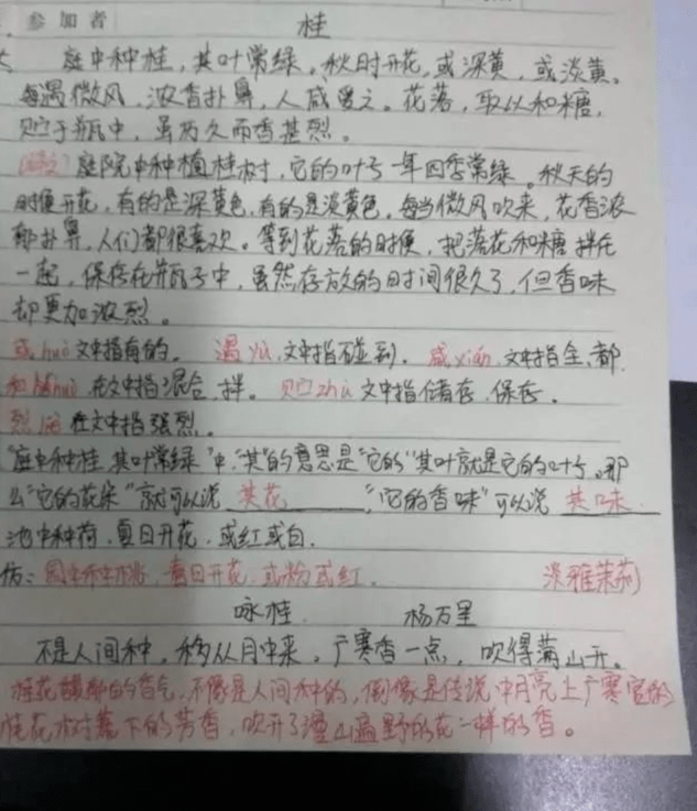 【小学生必读小古文100篇】第十六篇：《莲》