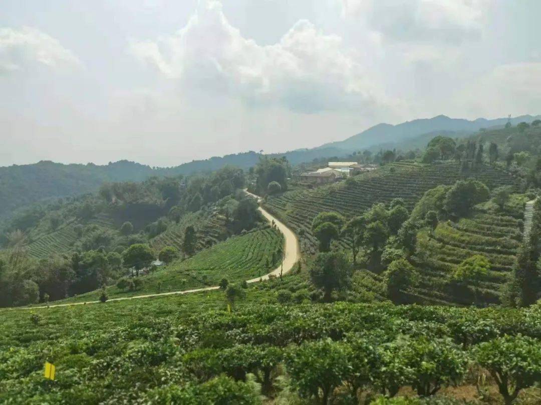 文章配图-2