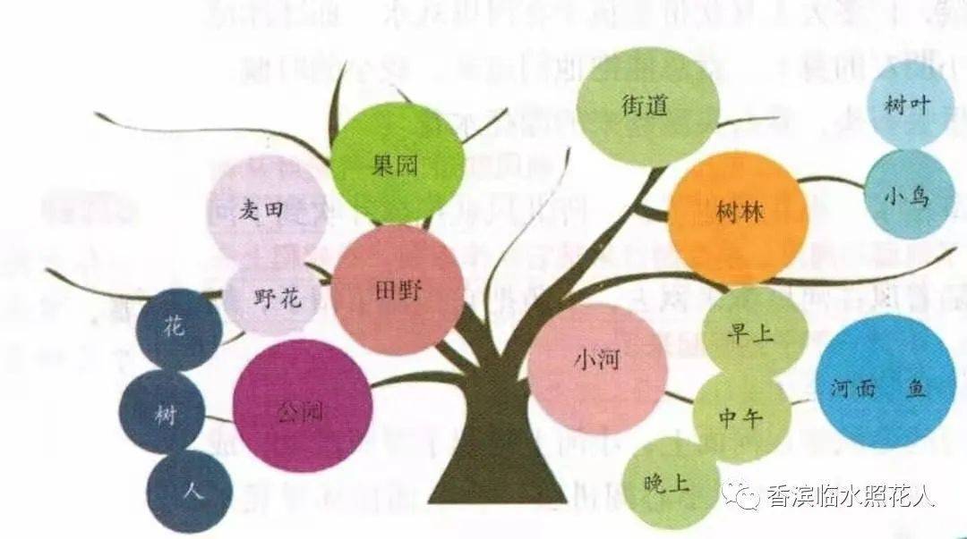 【导图作文 我有一个想法】三年级作文  周唯《保护环境，人人有责》（十二）  三年级作文 第15张