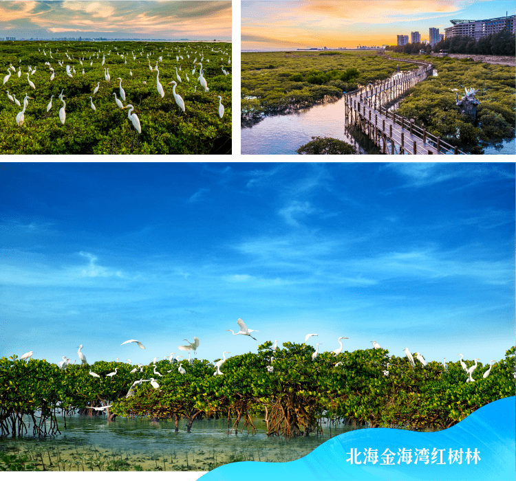 栖息着两百多种越冬候鸟,在这里可以观落霞与群鹜齐飞,碧海共长天一色