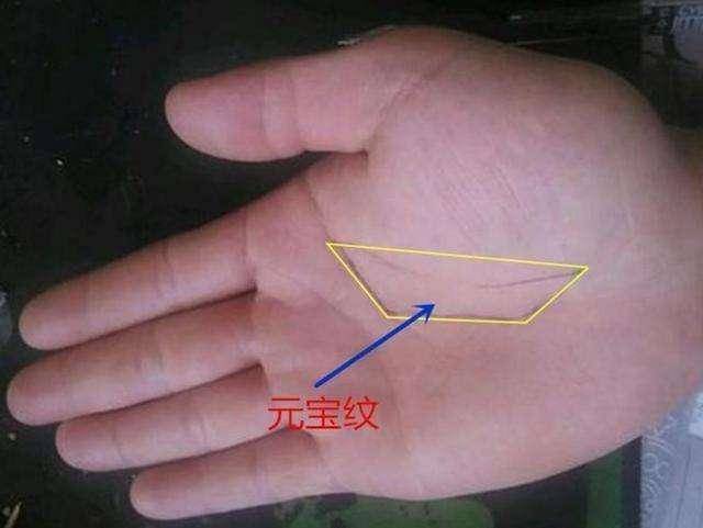 手中只要有"这条"纹路,不管男女,这辈子必定富贵无比婚姻如意_手掌