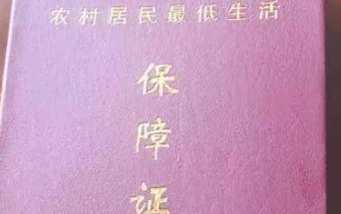 了低保卡的使用者是卡主的儿子付刚，以张学军为首的犯罪团伙迅速落网。其实在行动之前，张学军已经做好了周