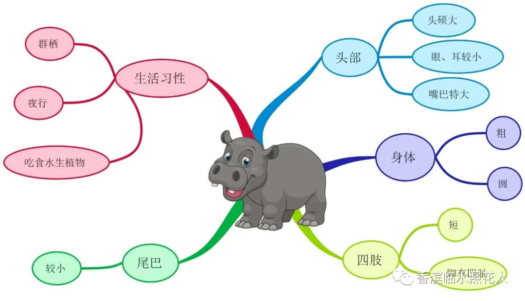 【思维导图“画”作文—五年级“我的心爱之物”】张梓佳《大白鹅》（二十八）  五年级作文 第17张