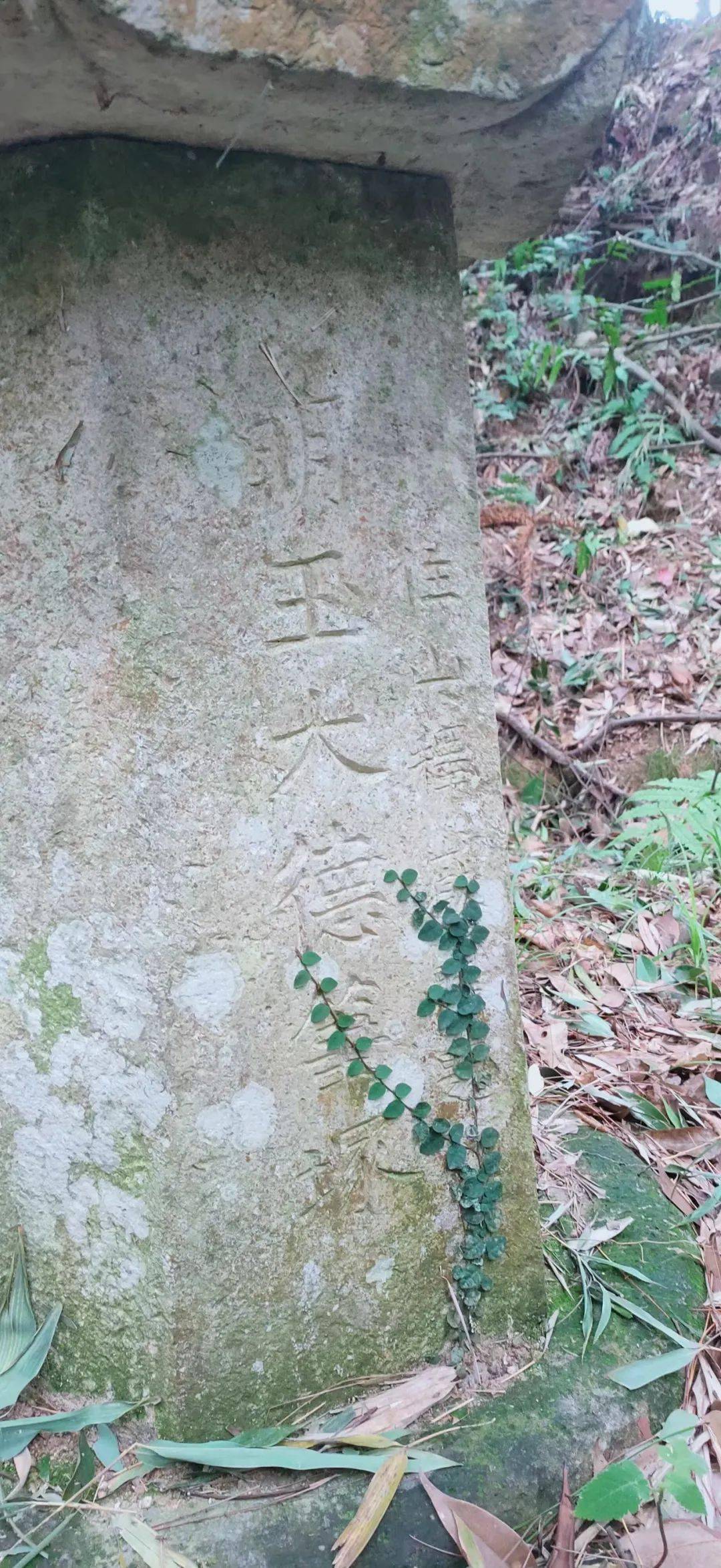 原天台县书法家协会主席孙新龙发现天台山高明寺山门外有一座"笔冢"