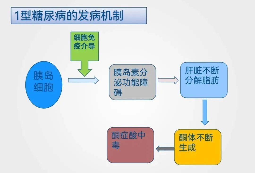 病例分享丨一例1型糖尿病病人的麻醉及分析