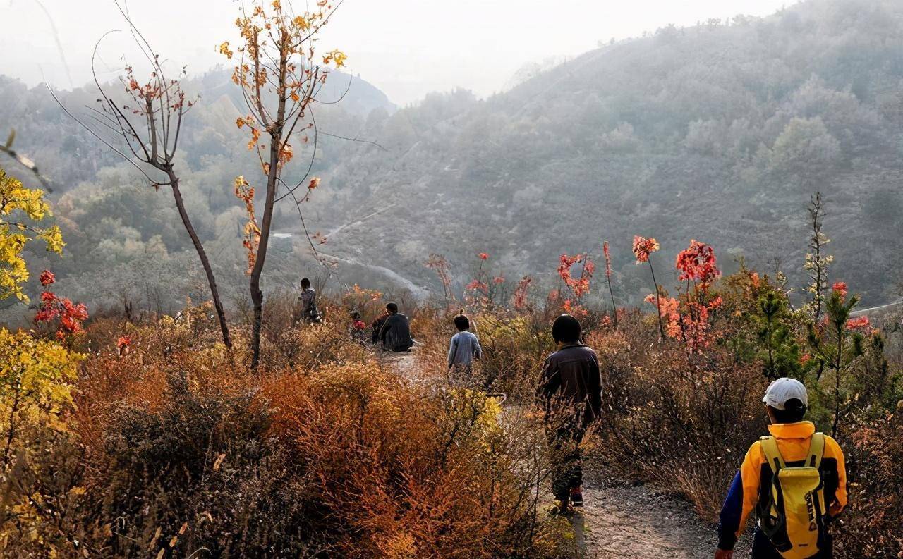 赏秋好去处,顺义五彩浅山,一条山脉,多个入口,不同景致任你选_步道