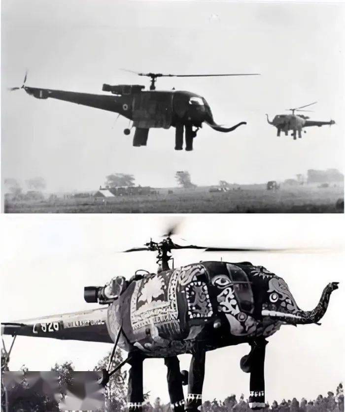 65�Ż��δ������Ƭ�����������Щ����Ľ�����̫������ ...