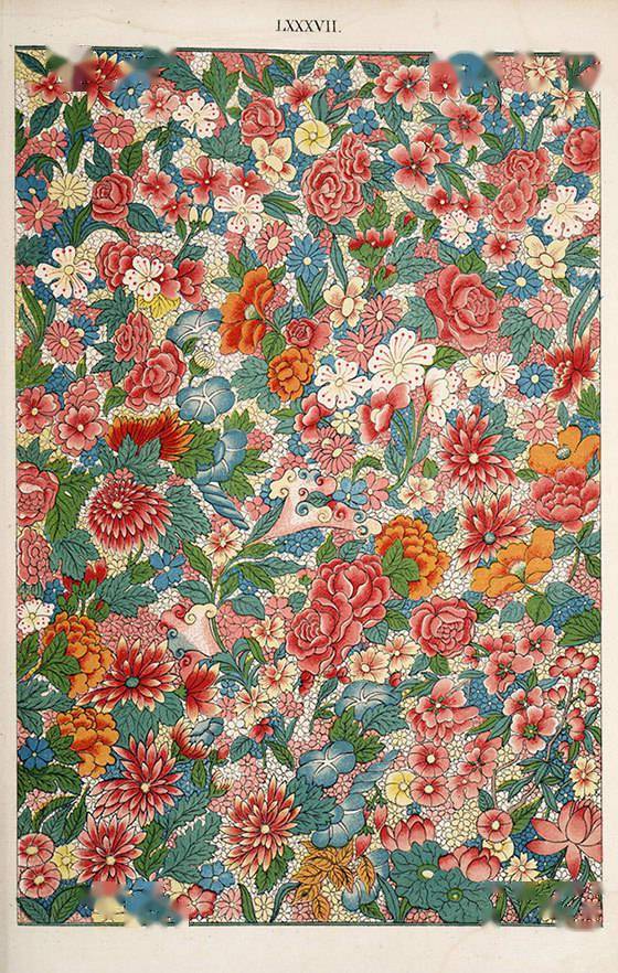 �й����������Ӣ����