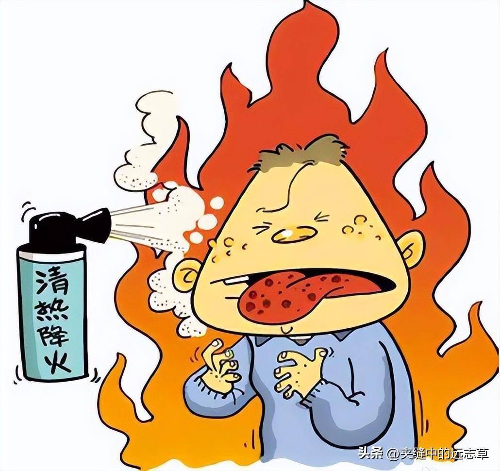 实火当泻、虚火当补，讲两张降火方，送给还在为上火所烦恼的你