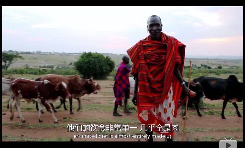 BBC纪录片清点全球最不安康的饮食体例，中国人中了好多箭……那说的是你吗？