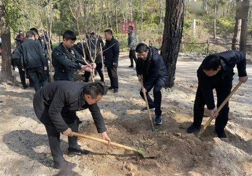 新春添新绿 | 江西各地开展新春义务植树活动