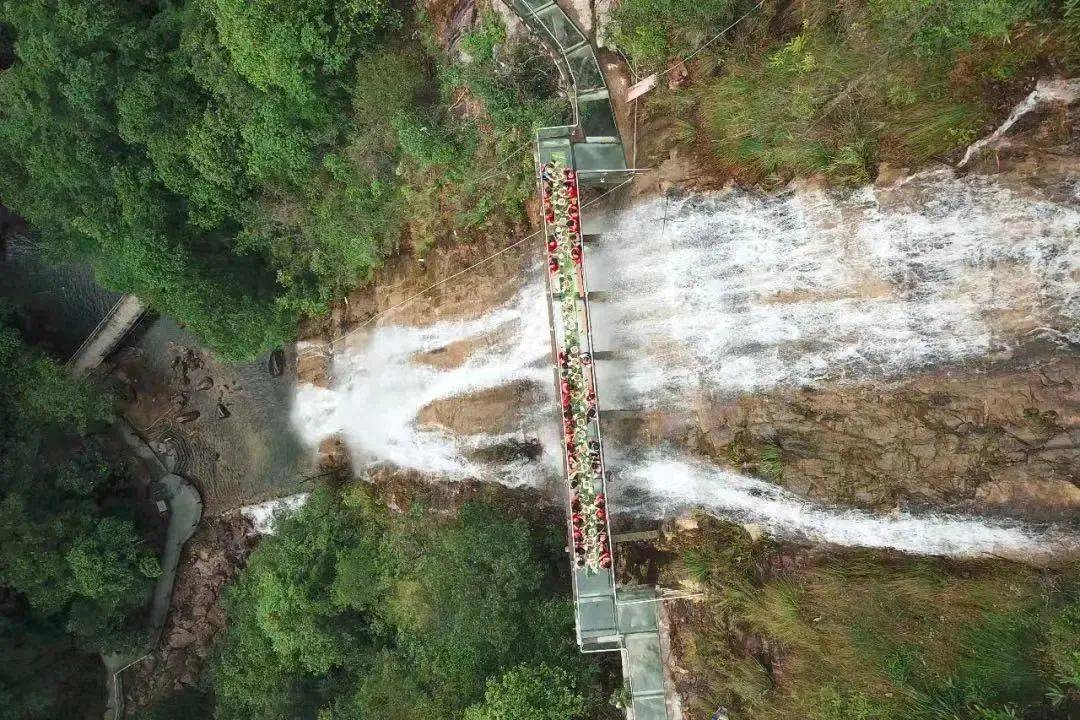 赏花、听瀑、登高、喂萌宠…韶关初春不成错过的踏青好去向来了，还免费