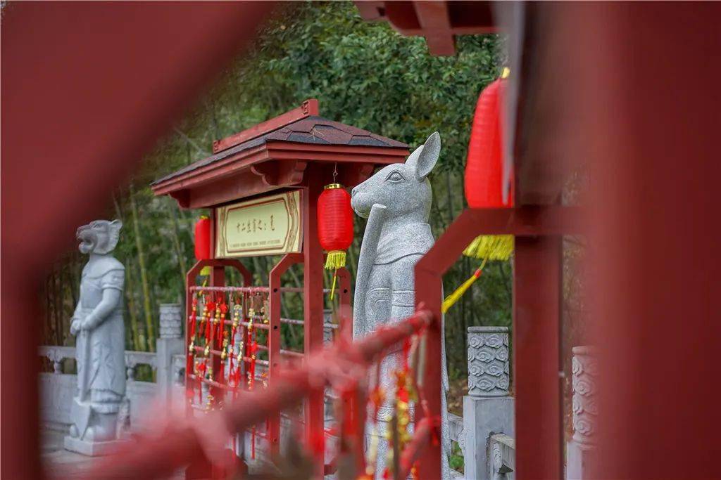 赏花、听瀑、登高、喂萌宠…韶关初春不成错过的踏青好去向来了，还免费