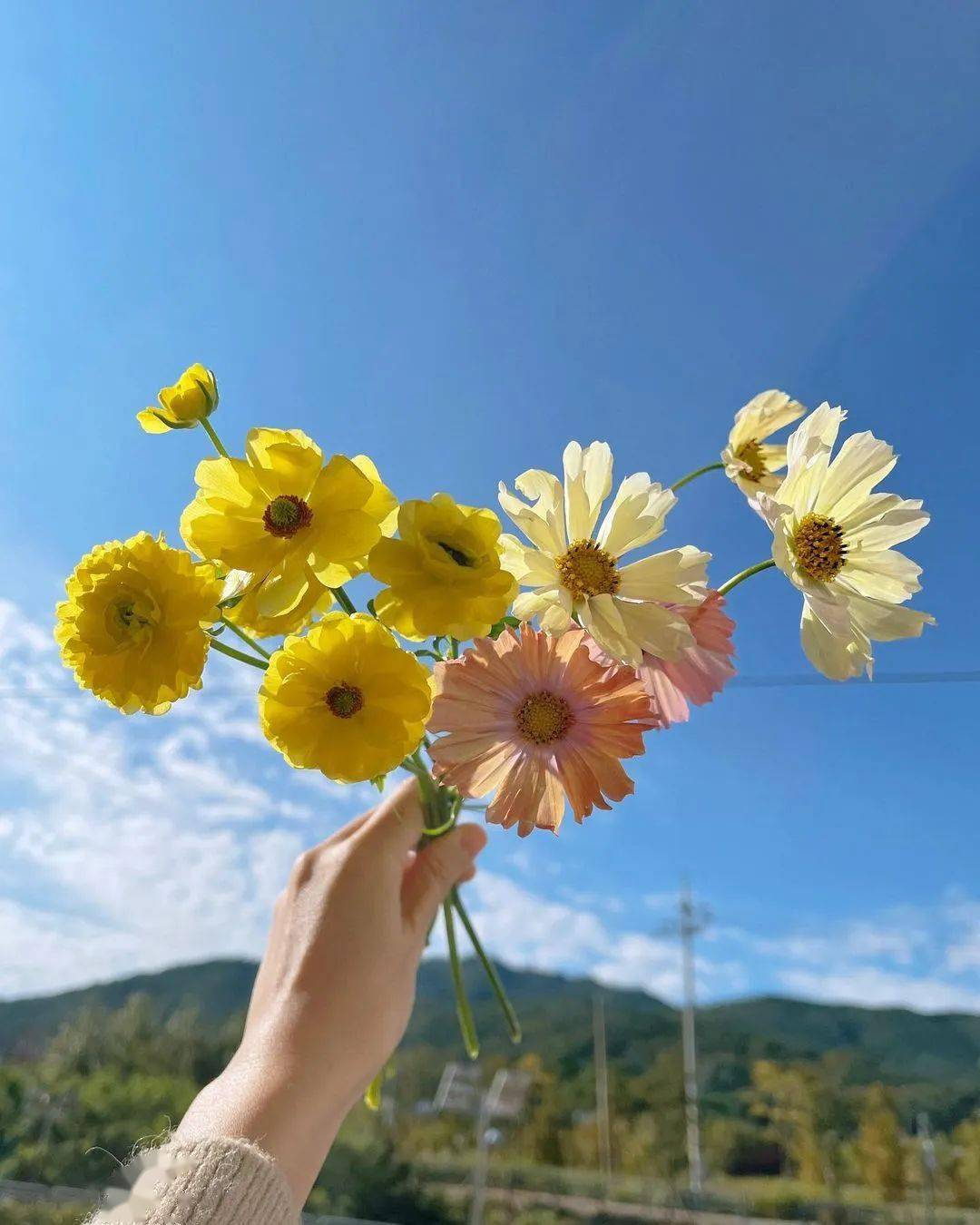 最浪漫的恋人节花礼，是把明丽的春天打包送到Ta手里