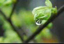 雨水节气特点