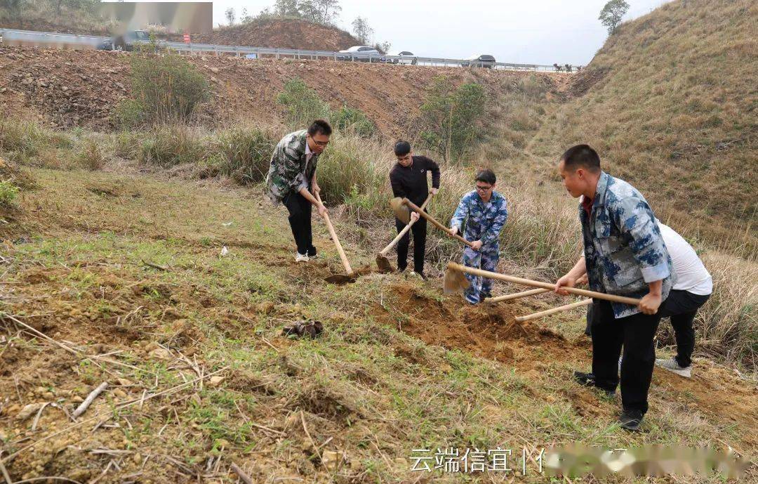 茂名9座"活人坟"被推平复绿！