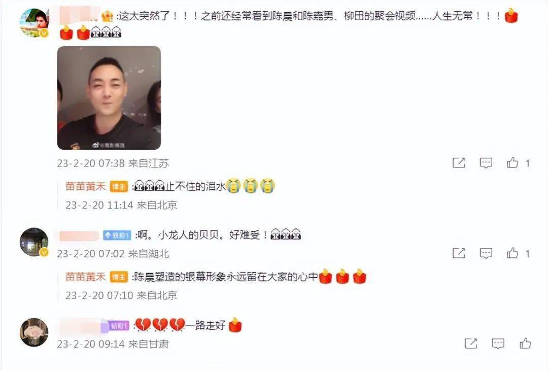 童星陈晨突然离世，留下老婆与2个女儿，同剧演员陈嘉男许诺为其养俩女儿！