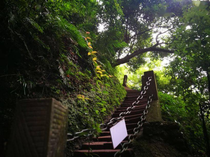 春风沉浸都江堰 | 当春光入青城，那里便承包了你春天的心动~