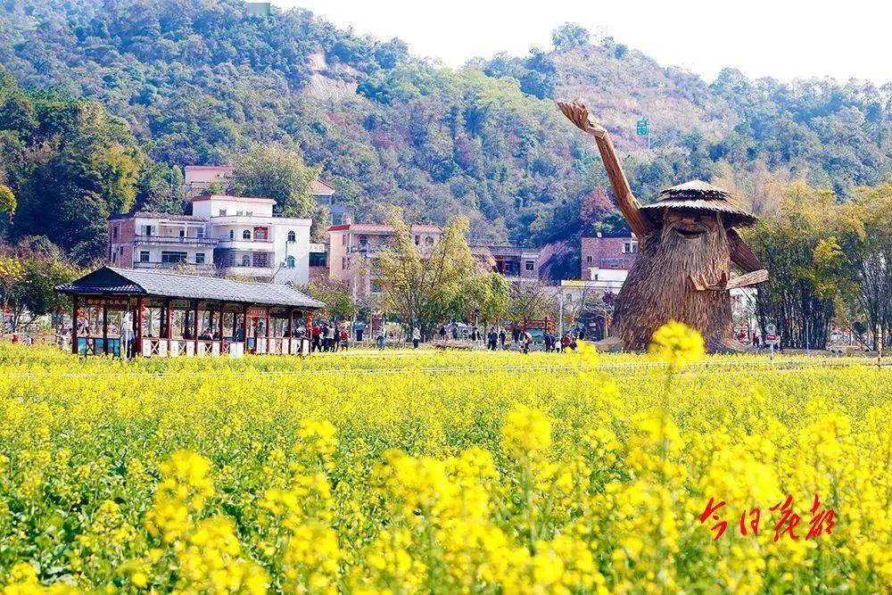 花都村落那么美，你不投一票？