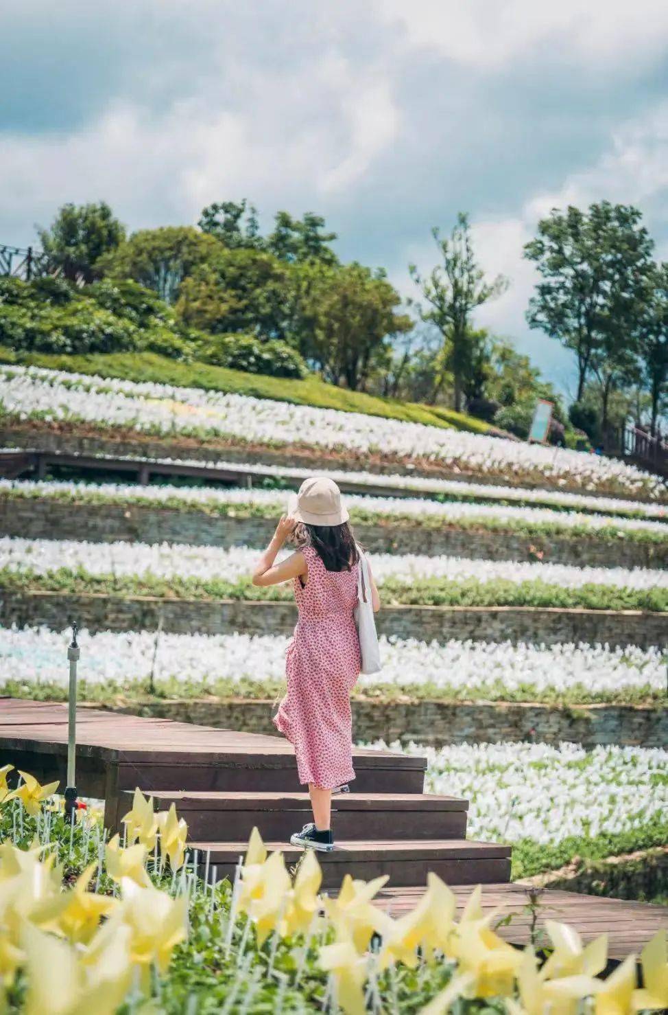 不行万亩樱花园，那座宝藏城市竟还有32个赏花地？