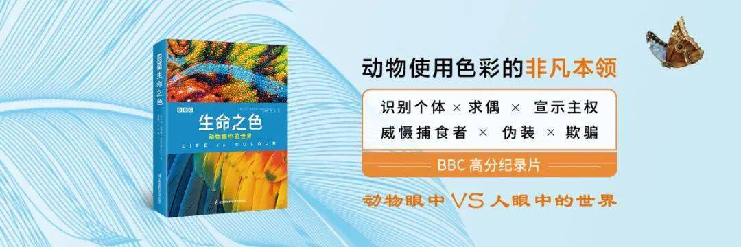 【新书】大卫·爱登堡圆梦之做，《BBC生命之色》带你解锁梦幻世界