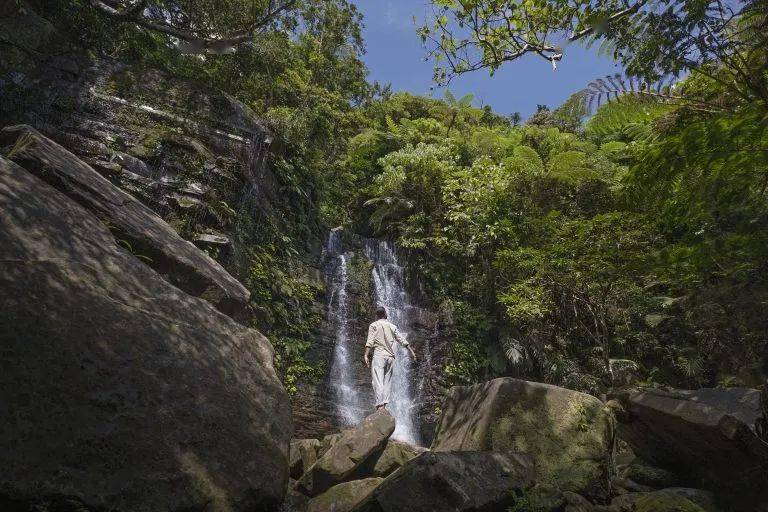 【摩登轻奢，心动日本】沉浸天然的治愈之旅，冲绳绝景・离岛巡游