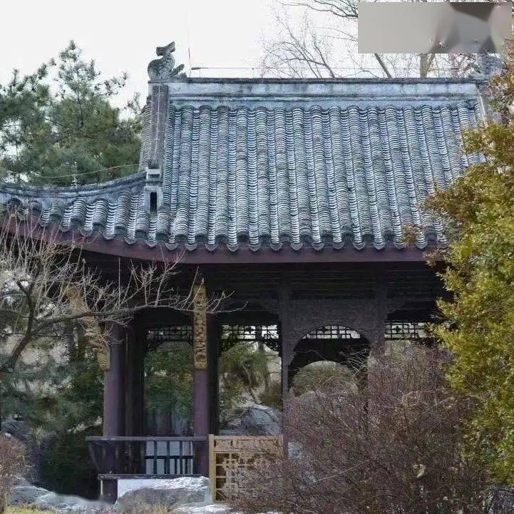 �������˱�����һĨ������ɫ