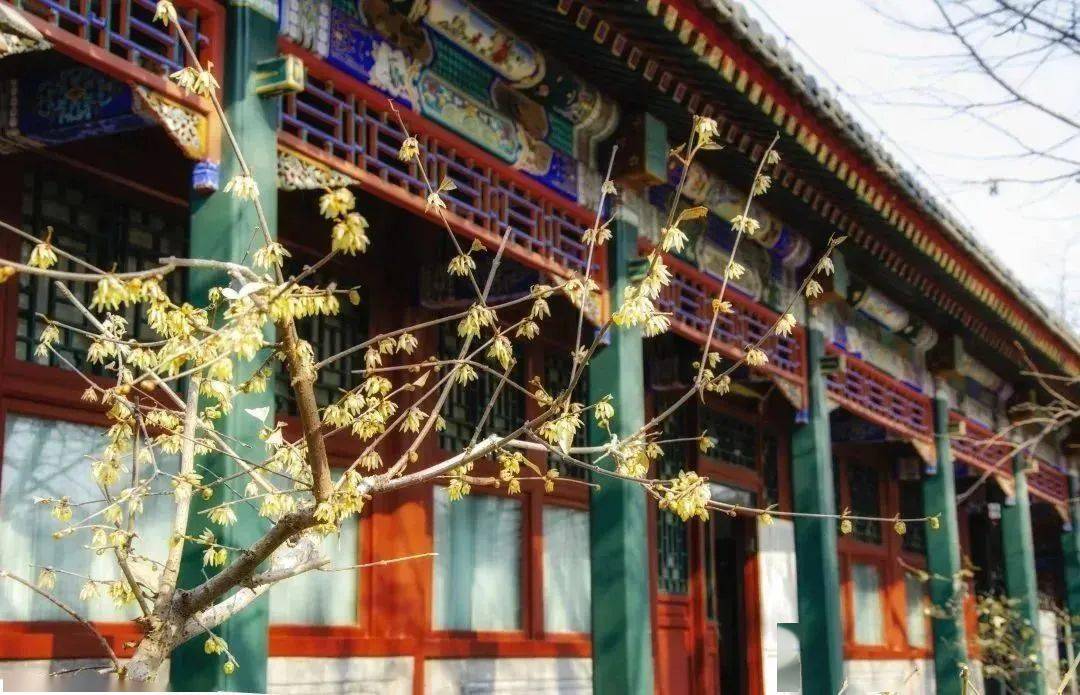 �������˱�����һĨ������ɫ