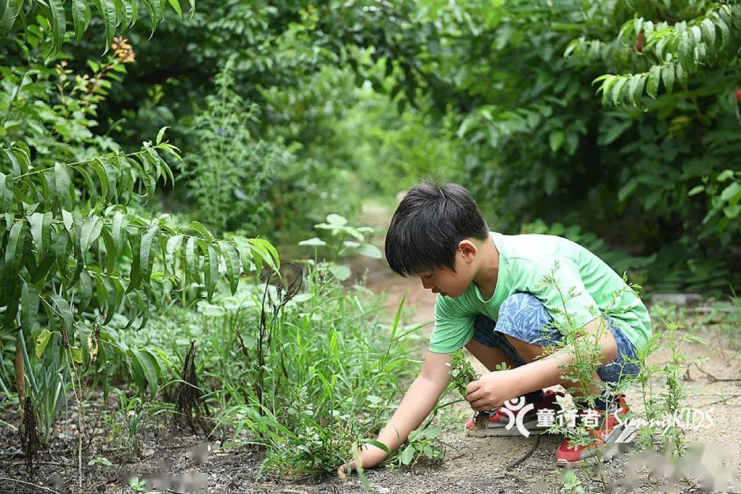 Back to Earth丨大地之子农做系列课程（春夏日）