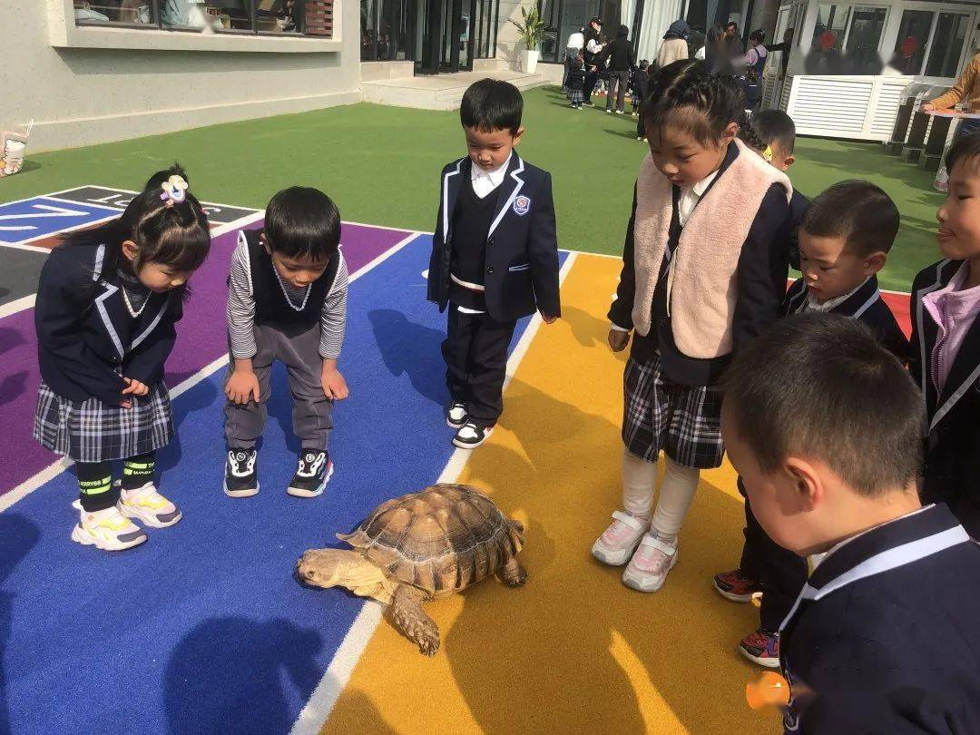 【科普进校】爱丁堡假日城市幼儿园认识我们身边的动物朋友科普小讲座im体育(图3)