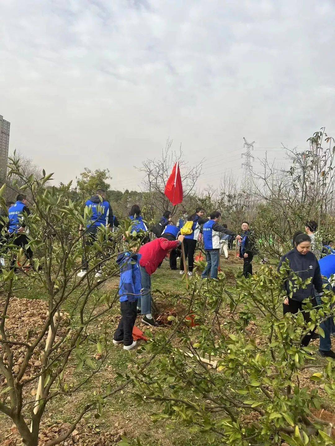 约起来！那个春天，一路“点绿”江岸