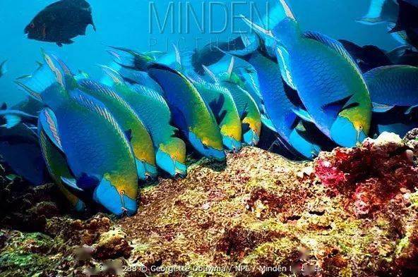 ��֪��������������ϸ��ɳ̲����ʵ���㡾��㡿��